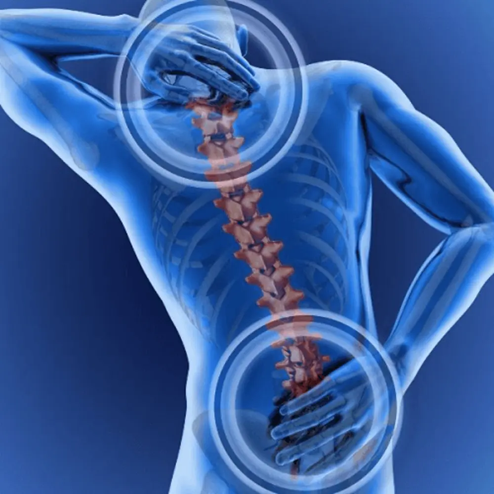 Ilustração tridimensional da coluna vertebral humana